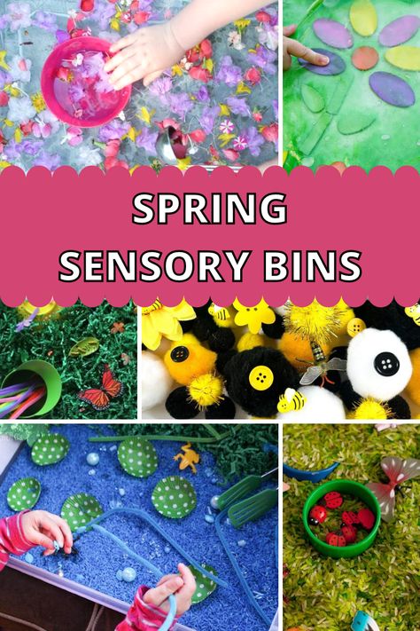 Ladybug Life Cycle Activities, Spring Sensory Bin, Flower Activities For Kids, Flower Activities, Spring Time Activities, Spring Sensory, Sensory Bin Ideas, Homeschooling Preschool, Activity Bags