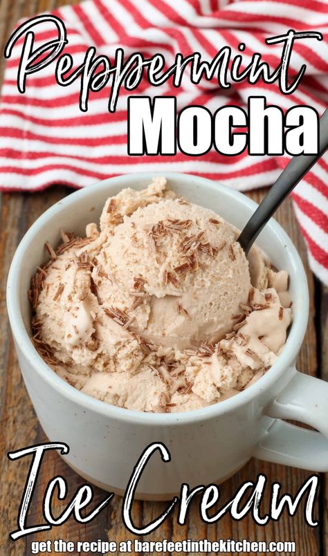 Peppermint Mocha Ice Cream Mocha Ice Cream Recipe, Mocha Ice Cream, Christmas Flavors, Bowl Of Ice Cream, Holiday Entertaining Food, Christmas Ice Cream, Peppermint Ice Cream, Mint Ice Cream, Chocolate Sandwich Cookies