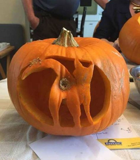 Weirdly crazy & oddly inspirational Funny Random Pics & Memes. Your daily dump of insane humor strange people to vintage retro pop & funny madness Funny Pumpkin Carvings, Pumkin Carving, Pumpkin Carving Contest, Easy Pumpkin Carving, Amazing Pumpkin Carving, Creative Pumpkin Carving, Scary Pumpkin Carving, Pumpkin Carving Designs, Halloween Pumpkin Designs