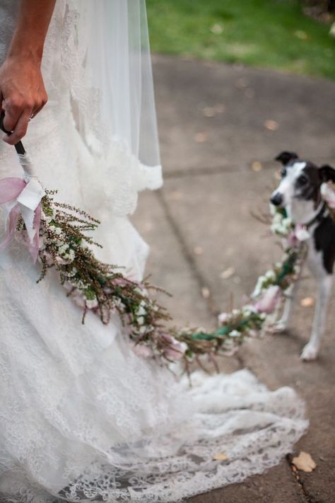 Will your dog be a part of your big day? Check out this floral wedding dog leash! Wedding Dog Leash, Wedding Dogs, Weddings Idea, Dog Outfits, Wedding Ready, Beach Wedding Flowers, Wedding Pets, Tent Wedding, Dog Wedding