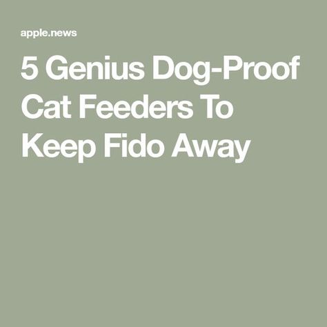 5 Genius Dog-Proof Cat Feeders To Keep Fido Away Cat Feeder Dog Proof, Cat Feeding Station Dog Proof, Cat Feeder Diy, Cat Food Station, Diy Cat Food, Cat Feeding Station, Cat Food Bowl, Cat Feeder, Feeding Station