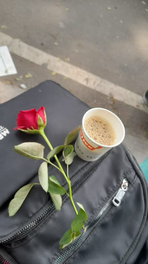 Tea Pictures Instagram, Rose Snap, Happy Rose Day, Instagram Design Creative, Rose Day, Snap Streak Ideas Easy, Cute Couple Dp, Instagram Creative Ideas, Saree Poses