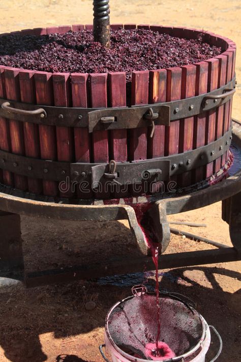 Making Wine From Grapes, Wine Grape, Wine Press, Grape Wine, Berry Punch, Red Grape, Pouring Wine, Homemade Wine, Restaurant Concept