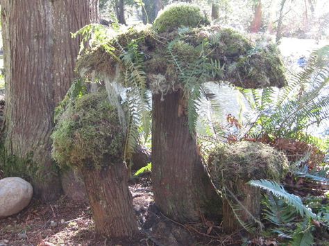 Mushroom Yard Art, Moss Mushroom, Types Of Moss, Garden Mushrooms, Moss Garden, Moss Art, Garden Structures, Fairy Houses, Garden And Yard