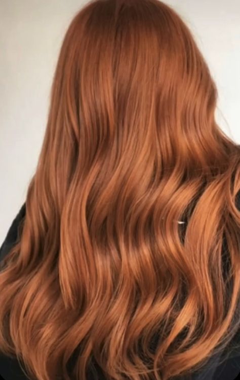 Pelo Color Cobre, Red Hair Inspo, Brown Hair Dye, Ginger Hair Color, Copper Hair Color, Strawberry Blonde Hair, Hair Color For Women, Auburn Hair, Hair Girl