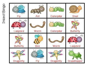 Insects Craft, Preschool Insects, Preschool Bugs, Insect Study, Kindergarten Stem, Preschool Boards, Bug Activities, Insect Unit, Insects Preschool