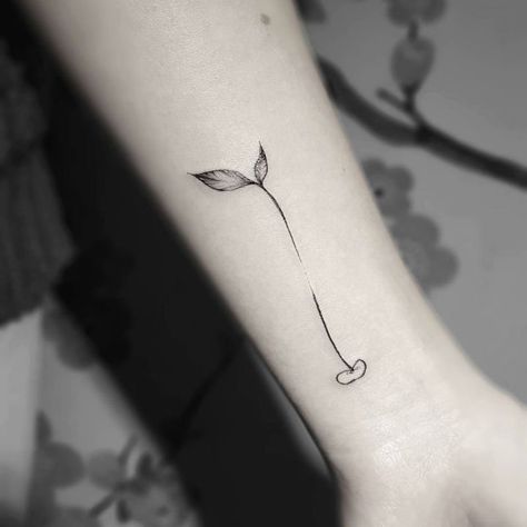 Stella Luo Creates Mesmerizing Minimalist Tattoos Plant Small Tattoo, Sprout Tattoo Plant, Seed Sprouting Tattoo, Plant Sprout Tattoo, Vegan Tattoo Minimalist, Seedling Tattoo, Perth Tattoo, Small Plant Tattoo, Sprout Tattoo