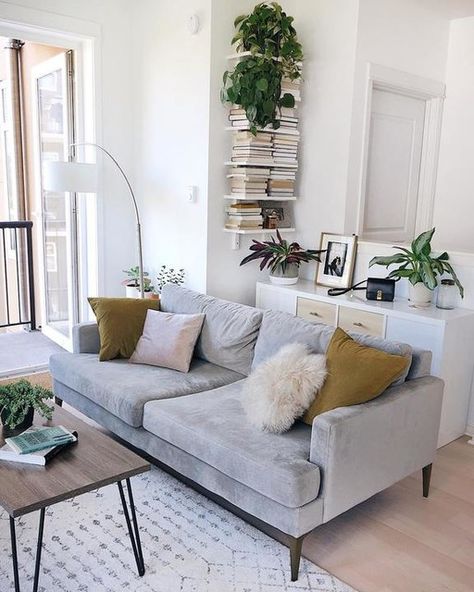 Living Room With Books, Room With Books, Styled Living Room, Studio Vibes, Tiny Studio Apartments, Modern Apartment Decor, Living Room Warm, Tiny Studio, Inexpensive Home Decor