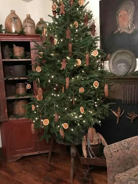 Prim tree Colonial Christmas Tree, Colonial Christmas Decorating, Primitive Christmas Trees, Primitive Christmas Tree, Williamsburg Christmas, Primitive Country Christmas, Primitive Christmas Decorating, Primitive Christmas Decor, A Simple Christmas