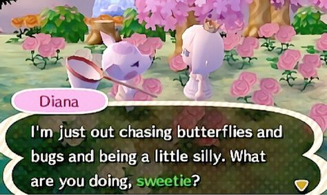 Animal Crossing Funny, Animal Crossing New Leaf, Animal Crossing Memes, City Folk, Animal Crossing Villagers, Animal Crossing Game, New Leaf, Owl House, Wall Collage