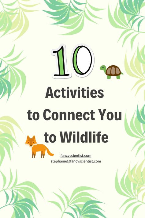 Wildlife Activities, Camp Activities, Nature Education, Wildlife Day, Wildlife Biologist, Save Wildlife, Study Ideas, Environmental Education, Kindergarten Science