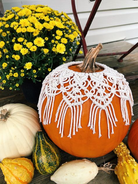 boho cotton macrame pumpkin cover / macrame fall decorations Macrame Pumpkin, Boho Fall Decor, Halloween Decor Diy, Boho Halloween, Makramee Diy, Diy Plant Hanger, Pumpkin Fall Decor, Autumn Crafts, Macrame Patterns Tutorials