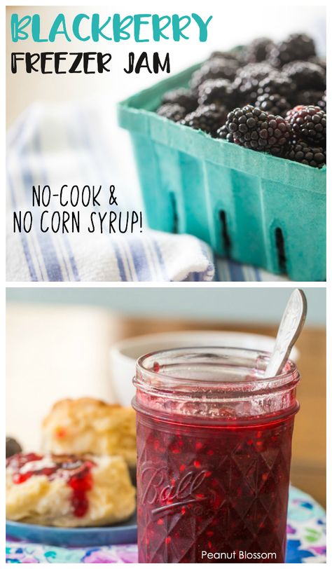 This no-cook blackberry freezer jam recipe has no corn syrup and only uses real sugar. The homemade jam is easy enough for the kids to make it on their own! Make a batch now for the best PB&J sandwiches you've EVER tasted! #freezerjam #blackberryrecipes #canning Blackberry Rhubarb Jam, Blackberry Freezer Jam Easy, Blackberry Freezer Jam Recipe, Freezer Jelly, Jams Recipes, Cherry Freezer Jam, Blackberry Freezer Jam, Freezer Jams, Beginner Baker