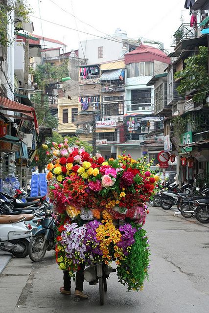 Hanoi, Vietnam City Paris, Vietnam Voyage, Ha Noi, Flower Shops, Hanoi Vietnam, Satin Flowers, Phnom Penh, Janis Joplin, Angkor