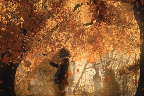 Desktop Wallpaper Fall, Fall Anime, Field Wallpaper, Cute Fall Wallpaper, Fall Wallpaper, Digital Art Girl, Anime Inspired, Girl Wallpaper, Scenery Wallpaper