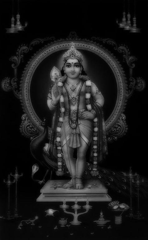 Lord Murugan Hd Wallpaper 4k, Che Guevara Art, Iphone Wallpaper Vintage Hipster, God Venkateswara Images Hd Wallpaper, Decent Wallpapers, Wild Animal Wallpaper, Easy Mandala Drawing, Lord Murugan Wallpapers, Sassy Wallpaper