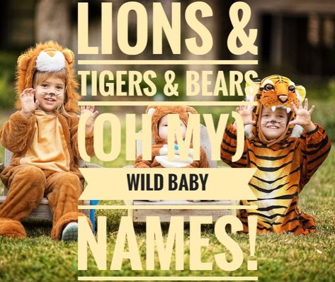 Lions & Tigers & Bears (Oh My!) Wild Baby Names Japanese Tiger, Roaring Lion, Wild Baby, Party Names, Baby Name List, African Lion, Name List, Lion Cub, Wild Cats