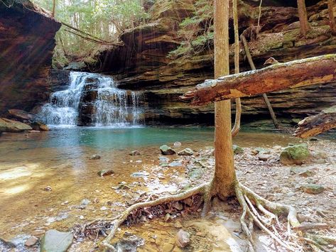 Hidden Gems In Alabama, Bankhead National Forest Alabama, Sipsey Wilderness, Dismals Canyon, Alabama Waterfalls, Alabama Hiking, Alabama Photography, Mentone Alabama, Community Planning