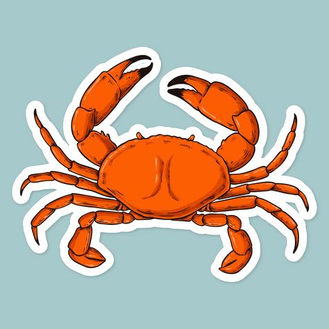 Cartoon sticker crab hand drawn vintage clipart | free image by rawpixel.com / Noon Crab Clipart, Crab Drawing, Cartoon Crab, Crab Cartoon, Crab Illustration, Childrens Art Projects, Longboard Design, Surf Stickers, Crab Art