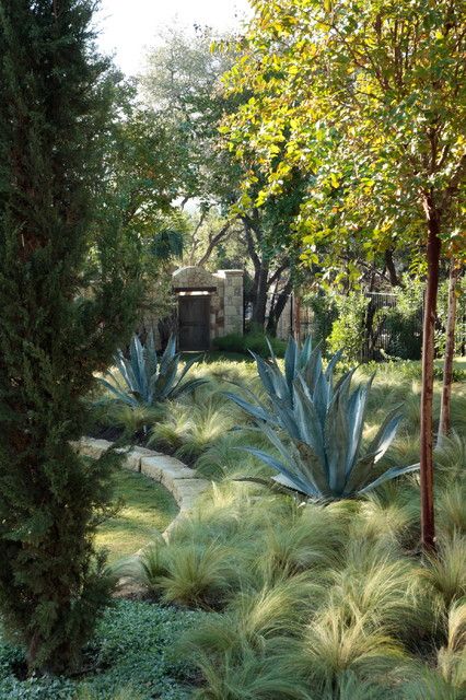 Structural Planting, Ornamental Grass Landscape, Lakeside Cafe, Agave Americana, Mediterranean Landscape, Drought Resistant Plants, Mediterranean Landscaping, Dry Garden, Grasses Landscaping