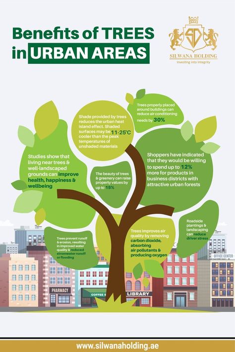 benefits of trees in urban areas Benefits Of Trees, Landscape Architecture Diagram, Tree Diagram, Urban Tree, Save Trees, Urban Forest, Infographic Poster, Infographic Design Template, Creative Advertising Design