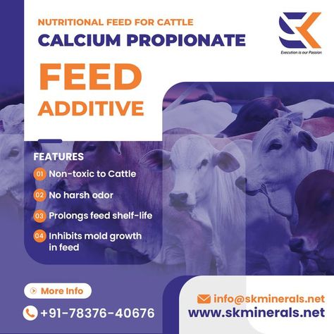 SK Minerals & Additives Pvt. Ltd. offers reliable and effective cattle feed additives that are recommended for use by dairy farmers to enhance the production of milk. Calcium propionate is a calcium additive that is added to animal feed to increase milk production, fertility, and health. Reach us out for bulk orders! 📞 078376 40676 Cattle Feed, Sign System, Milk Production, Mold Growth, Fertility, Dairy, Cow, Milk, Health