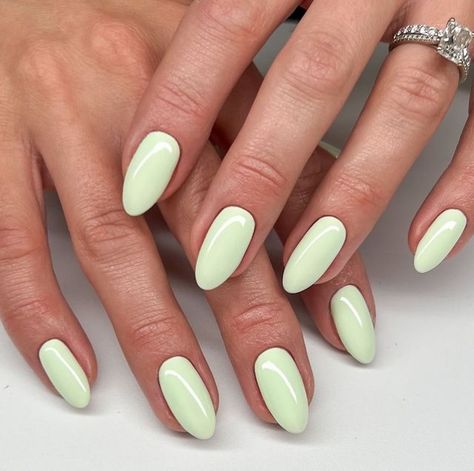 Daisy Nail Designs on Instagram: "🍈🥥🐚🍡 Pistachio Dreams in Mint To Be DC 2512 - Available in Gel Polish and Lacquer from the Free Spirit Collection.   💅🏽 @nailsbytaylorjustine + @karisnailart   #dndgelpolish #nails #dndminttobe #dnd2512 #mintnails #mintgreennails #greennails #softnails #dreamynails #prettynails #nailsinspiration #pastelnails #perfectnails" Mint Green Manicure, Pistachio Color Nails, Milky Green Nails, Light Green And White Nails, Green Pastel Nails, Mint Gel Nails, Pistachio Nails, Daisy Nail Designs, Lime Green Nails