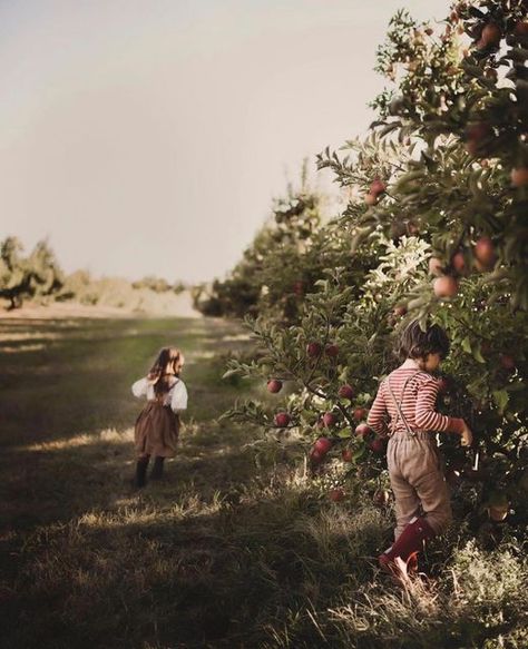 Orchard Family Photos, Halloween Fluff, Apple Orchard Photoshoot Family, Apple Orchard Family Pictures, Pumpkin Picking Aesthetic, Apple Picking Photoshoot, Slow Autumn, Apple Orchard Photoshoot, Apple Orchard Pictures