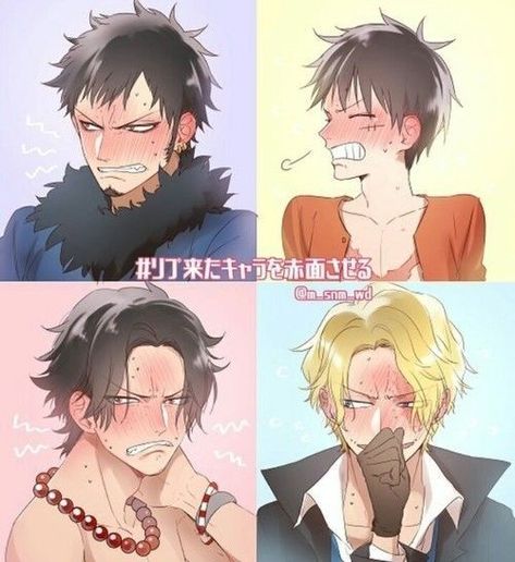 Trafalgar D Water Law, A.c.e Chan, Ace Sabo Luffy, رورونوا زورو, Ace And Luffy, One Piece Crew, One Piece Ace, One Piece Ship, One Piece Funny