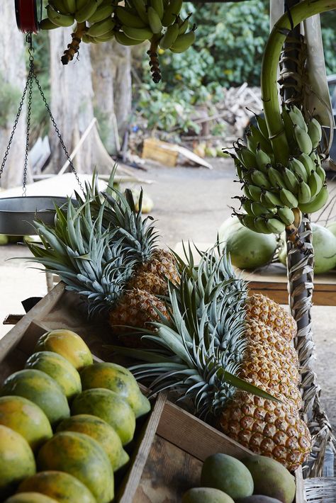 coquita Fruit Stand, Fruit Stands, Island Vibes, A Fruit, Tropical Fruits, Tropical Fruit, Tropical Vibes, Tropical Islands, Tropical Paradise