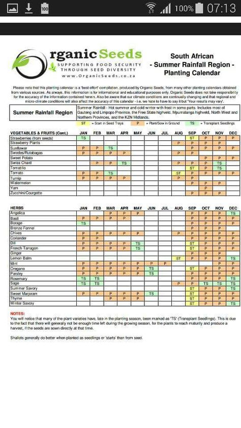 Seed growing calendar part 2 southern hemisphere South Africa Vegetable Planting Guide, Garden Ideas South Africa, Berries Garden, Vegetable Planting Guide, Growing Calendar, Seed Growing, Biology Textbook, Frugal Gardening, Vegetables Garden