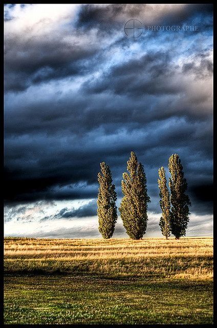 Cloudy Sky, Dark Skies, Beautiful Sky, Pics Art, Landscape Photos, Beautiful Photography, Amazing Nature, 그림 그리기, Holistic Health