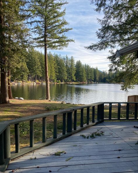 A Sunny day at a lake surrounded by trees Lake View Restaurant, Cabin Overlooking Lake, Lake Forest College, Lakeside Forest Wilderness Area, Lake Surrounded By Trees, Tree Removal, Gorgeous View, Lake View, Book Aesthetic