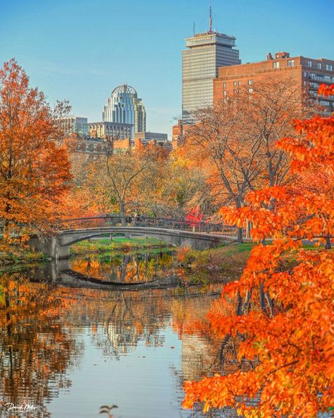 Charles River Esplanade, Boston Watercolor, Boston Fall, Boston Poster, Dorm Inspo, Boston Strong, Charles River, Autumn Painting, Pennsylvania