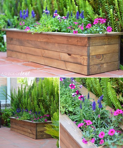 Flowers Around Shed, Flower Boxes Ideas, Patio Flower Boxes, Box Gardens, Outdoor Flower Boxes, Porch Update, Planter Boxes Flowers, Wood Flower Box, Wooden Flower Boxes