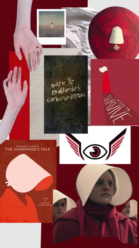 The Handmaids Tale The Handmaid's Tale Aesthetic, The Handmaids Tale Aesthetic, Handmaids Tale Aesthetic, Handmaidens Tale, The Handmaid's Tale Book, A Handmaids Tale, Handmaids Tale, Ap Lang, The Handmaid's Tale