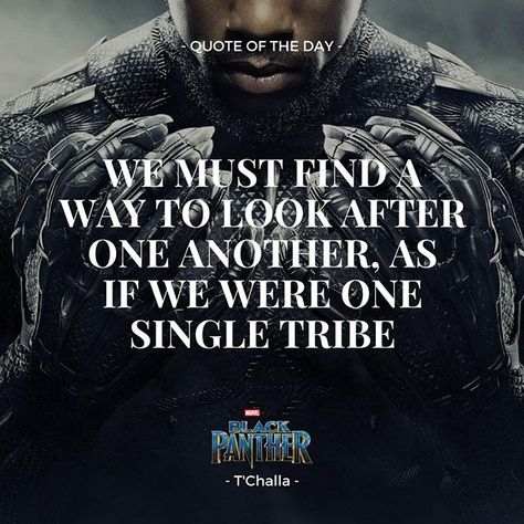 Black Panther Quotes, Panther Quotes, Dont Be A Fool, Superhero Quotes, Positive Reminders, Team Quotes, T Challa, Superhero Classroom, November Calendar