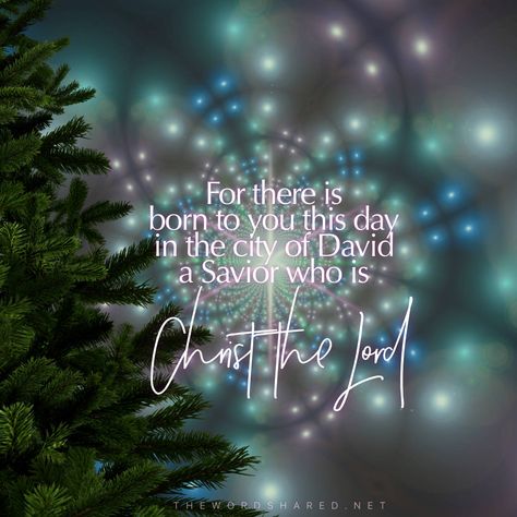 Christ The Savior Is Born, Happy Birthday Jesus Quotes, Happy Birthday Jesus Prayer, Happy Birthday Jesus Christmas, Jesus Christmas, Happy Birthday Jesus Images, Happy Birthday Jesus Decorations, Jesus Birth Quotes, Bible Verse About Jesus Birth