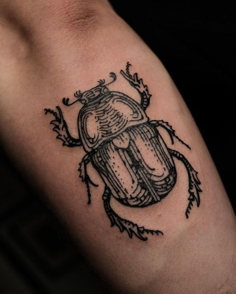 Fig Beetle Tattoo, Plant And Bug Tattoo Sleeve, Horn Beetle Tattoo, Insect Knee Tattoo, June Beetle Tattoo, Beatle Tattoo Design, Woodcut Style Tattoo, Dung Beetle Tattoo, Bug Tattoo Sleeve