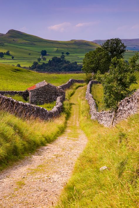 Yorkshire Dales Prints Grassington Yorkshire Dales, Yorkshire Photography, Yorkshire Rose, Yorkshire Dales National Park, Blue Poppies, The Road Not Taken, Northern England, Landscape Photography Nature, Yorkshire Dales