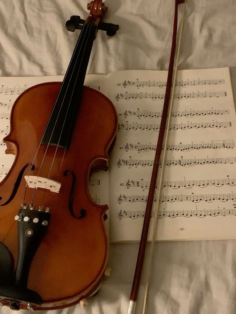 Violin Core, Musical Instruments Aesthetic, Violinist Aesthetic, Cello Aesthetic, Instruments Aesthetic, Violin Aesthetic, Violin Photography, Viola Instrument, Terrence Loves You