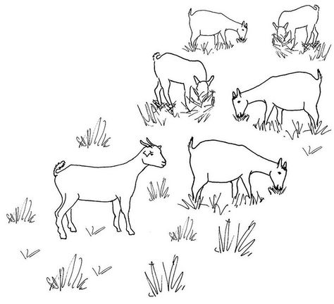 goat line drawings | Recent Photos The Commons Getty Collection Galleries World Map App ... Goat Herding, Tree Drawings Pencil, Goat Art, Cute Goats, Pattern Coloring Pages, Animal Sketches, Coloring Pictures, Animal Illustration, Art Sketchbook