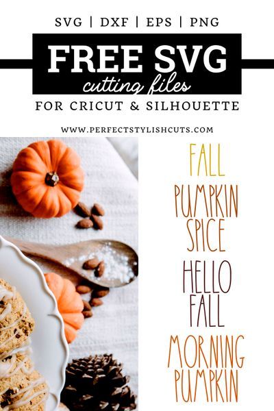 Free Fall Kitchen Words | Rae Dunn Inspired SVG Files from PerfectStylishCuts.com.  #raedunninspired #raedunnfont #raedunnsvg #fallsvg #svgfiles #freesvg #cricutmade #silhouettecameoprojects  #freebies Silhouette Hacks, Router Wood, Cricut Templates, Fall Words, Kitchen Words, Free Svgs, Quilling 3d, Free Cricut, Lathe Projects