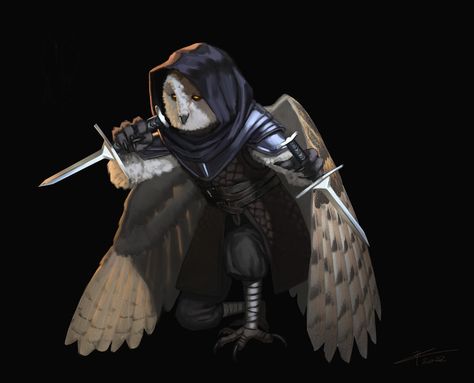 Dnd Aarakocra, Rogue Dnd, Owl Character, D&d Online, Npc Ideas, Bird People, Dnd Races, Dnd Inspiration, Dnd Character Ideas