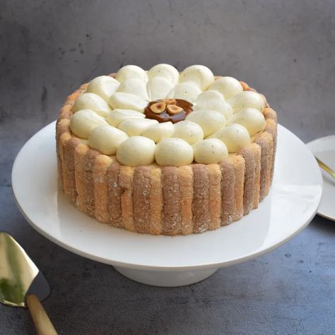 Recette de Charlotte vanille & praliné noisette Charlotte Dessert, Entremet Recipe, Charlotte Cake, Fluffy Cake, Dessert Presentation, Hazelnut Praline, Thermomix Desserts, Gourmet Desserts, Good Eats