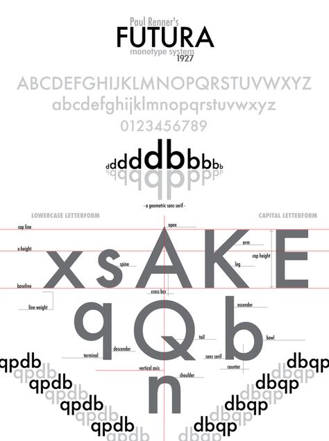 Typeface Analysis Poster - Paul Renners Futura by Chris Felton, via Behance Typography Analysis, Futura Typeface, Brush Lettering Font, Type Anatomy, Number Fonts, Basic Design, Handwriting Fonts, Brush Lettering, Lettering Fonts