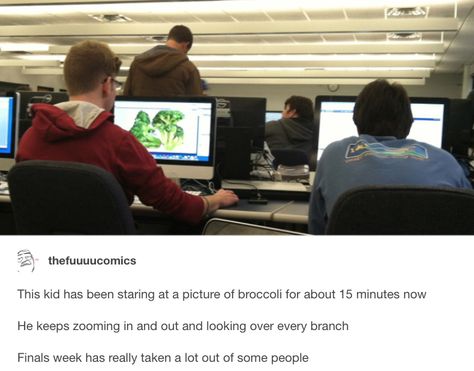 23 Of The Funniest Things To Ever Happen At School, According To Tumblr Tumblr School, Funny School Stories, School Stories, Stories Funny, Funny Friday, Funny Tumblr Stories, Tumblr Stories, Chandler Riggs, Meme Comics