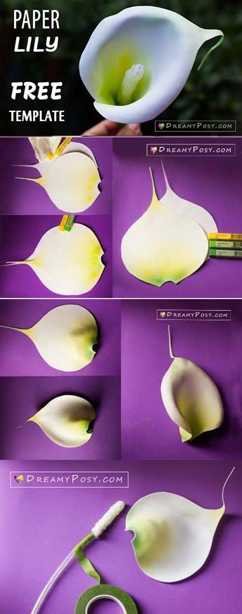 Paper Calla Lily, Paper Lily, Calla Lily Flowers, Easy Paper Flowers, Lily Flowers, Paper Flower Template, Crepe Paper Flowers, Paper Flowers Craft, Tissue Paper Flowers