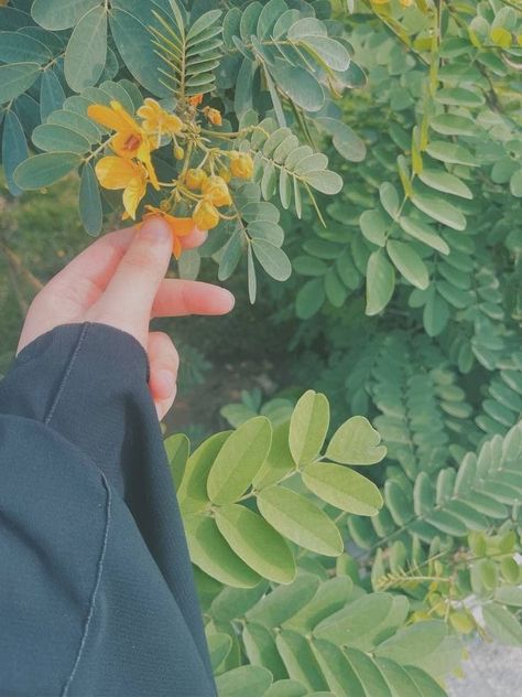 Aesthetic Account, Hands Holding Flowers, Sabrina Carpenter Style, Calligraphy Lessons, Clever Captions For Instagram, Foodie Instagram, Hand Photography, Beautiful Flowers Photography, Look Up Quotes