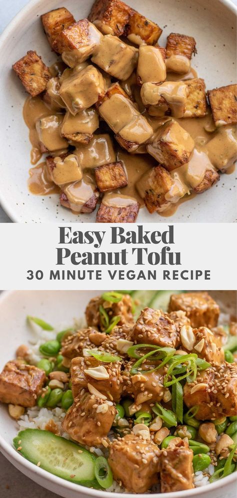 Easy Baked Peanut Tofu, the perfect beginner vegan recipe that’s ready to eat in 30 minutes. Crispy baked tofu tossed in a savory and tangy peanut sauce. Broke Vegan Meals, Peanut Tofu Recipes, Firm Tofu Recipes Easy, Low Carb Tofu, Peanut Sauce Tofu, Easy Tofu Recipes, Vegan Tofu Recipes, Easy Vegan Recipes For Beginners, Beginner Vegan